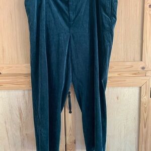 Coldwater Creek Emerald Green Brushed Corduroy Pants Relaxed Fit Sz 22